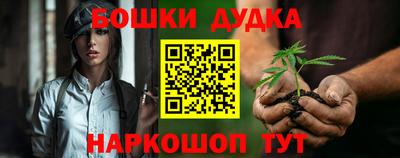 индика Будённовск